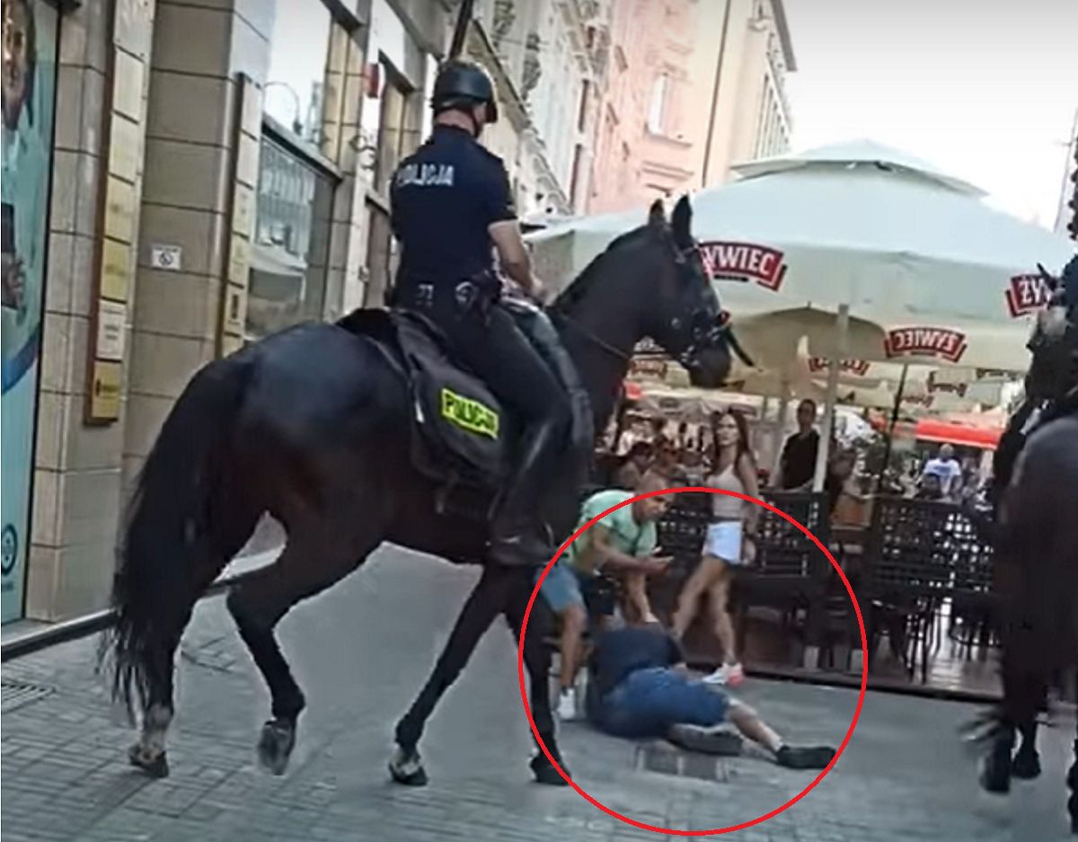 Interwencja konnej policji w Katowicach