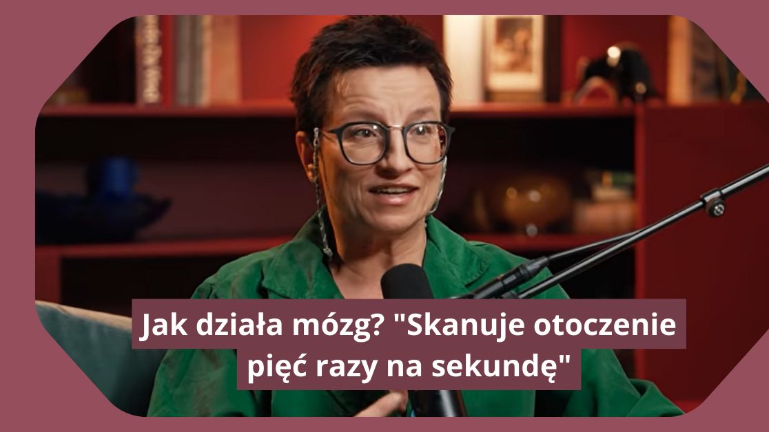 Jak działa mózg?