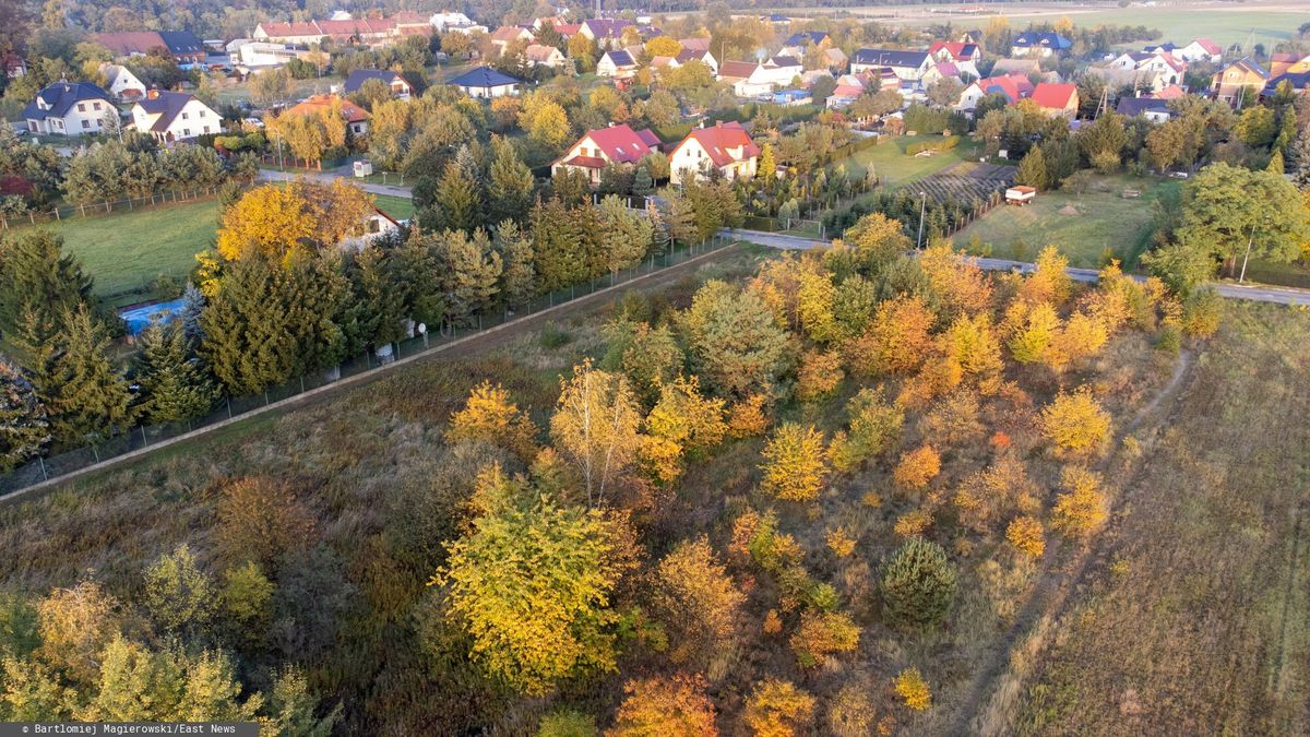 Stock Bart?omiej MagierowskiFot. Bartlomiej Magierowski/East News. Wroclaw 25.10.2023. Osiedle Swiniary - pola, kolorowe drzewa, poniemieckie domy i wspolczesne domy jednorodzinne.Bartlomiej Magierowski