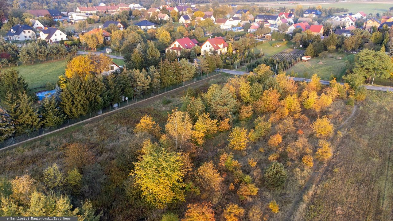 Grozi nam paraliż budowlany? Eksperci ostrzegają