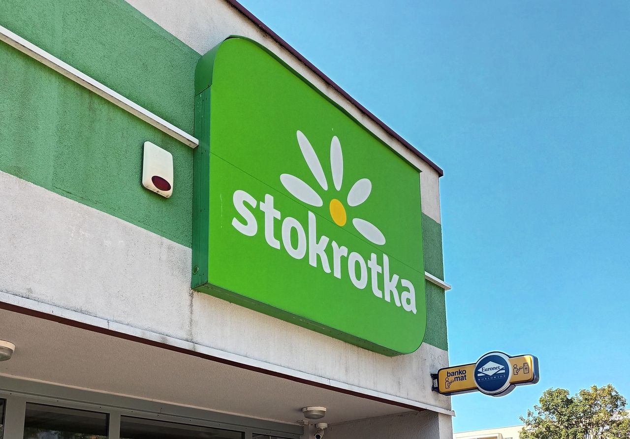 4 + 4 gratis. Promocje od czwartku w Stokrotce