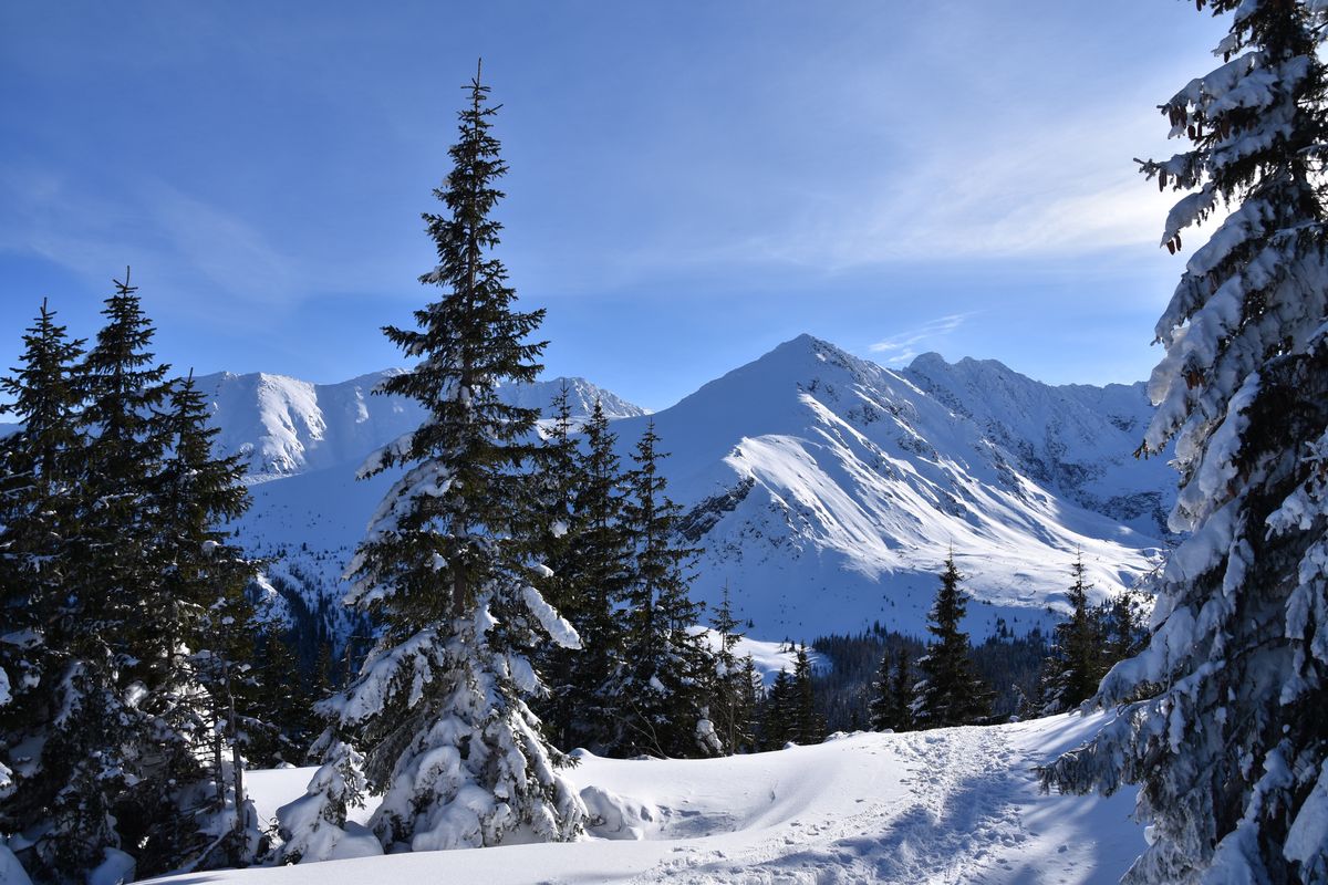 Góry zimą wyglądają magicznie, ale mogą być także bardzo niebezpieczne 