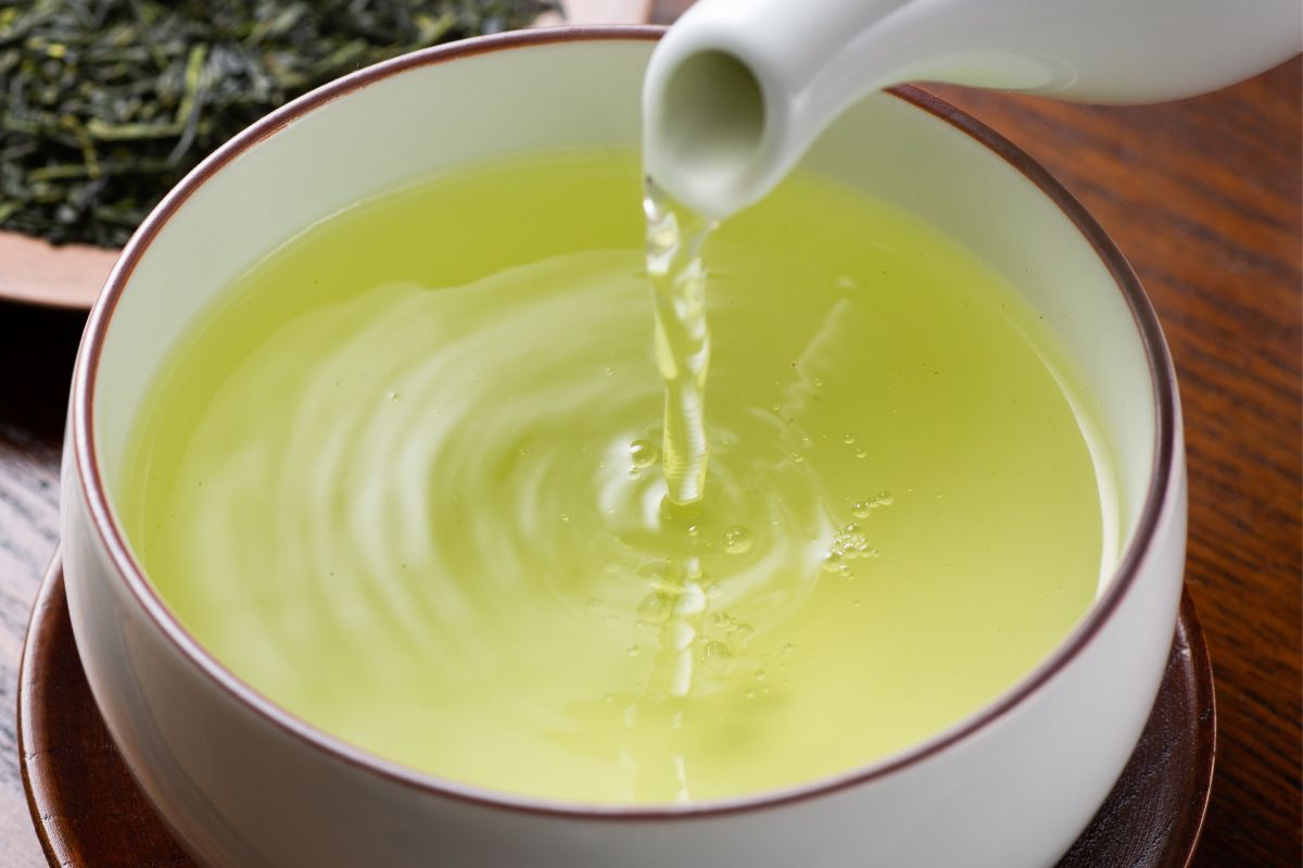 Japanese sencha: A brew that redefines green tea benefits