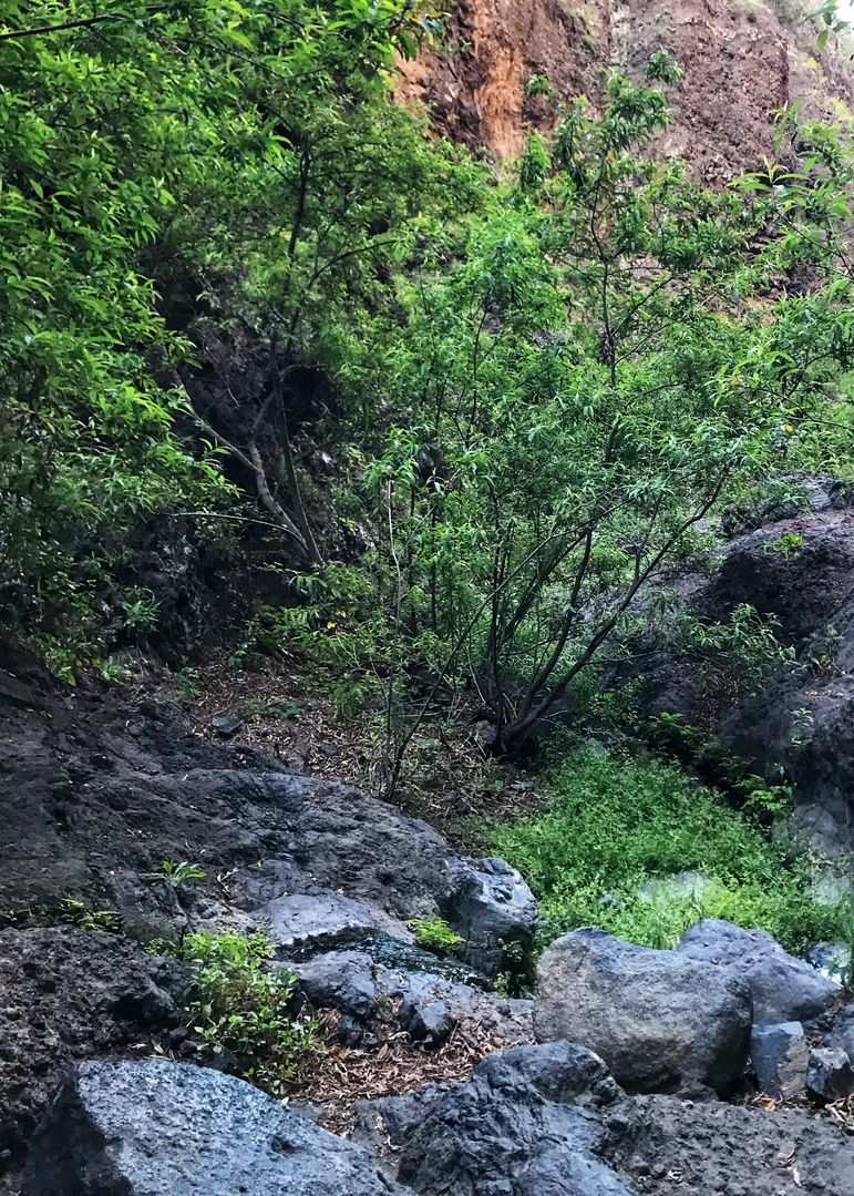 Barranco del Infierno 