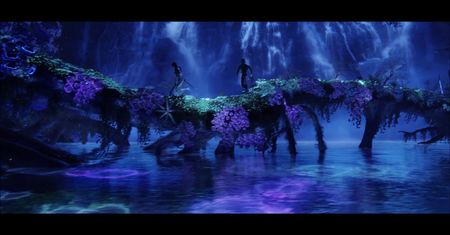 Jak wielkie znaczenie ma kolor w fotografii oraz filmie?