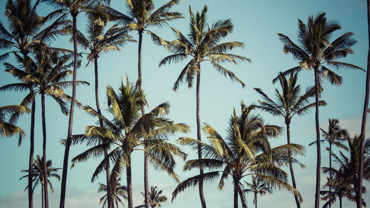 Taniec hula wywodzi się z wysp hawajskich.