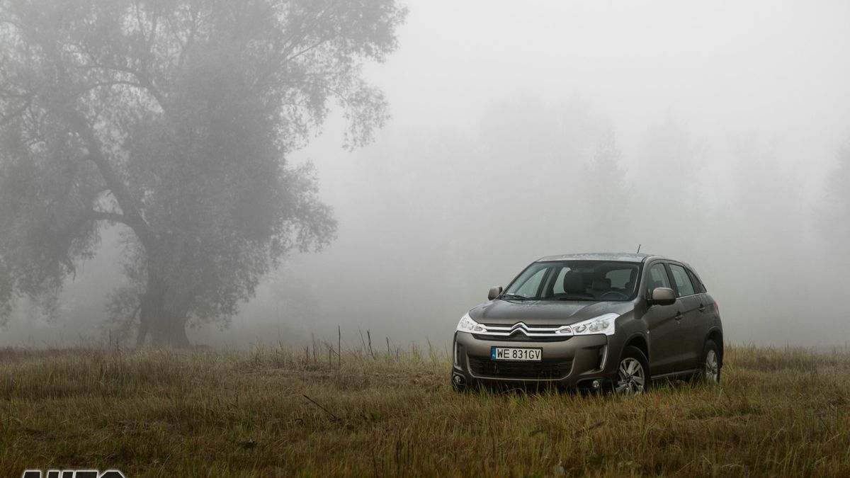 Zdjęcie ilustracyjne do artykułu