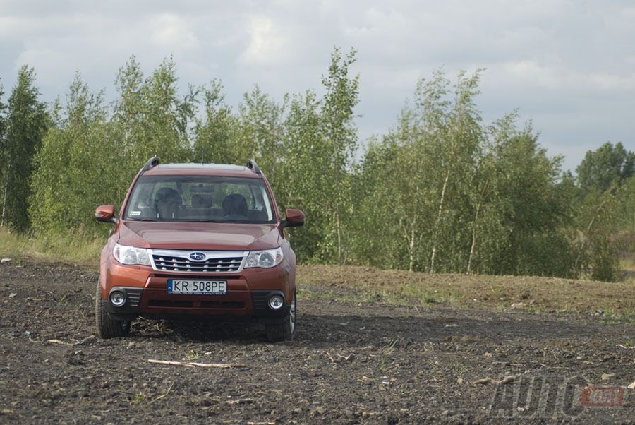 Subaru Forester (fot. Justyna Dworaczek)