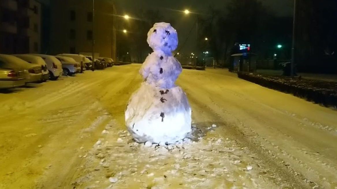 Bałwan wprowadził niemałe zamieszanie 