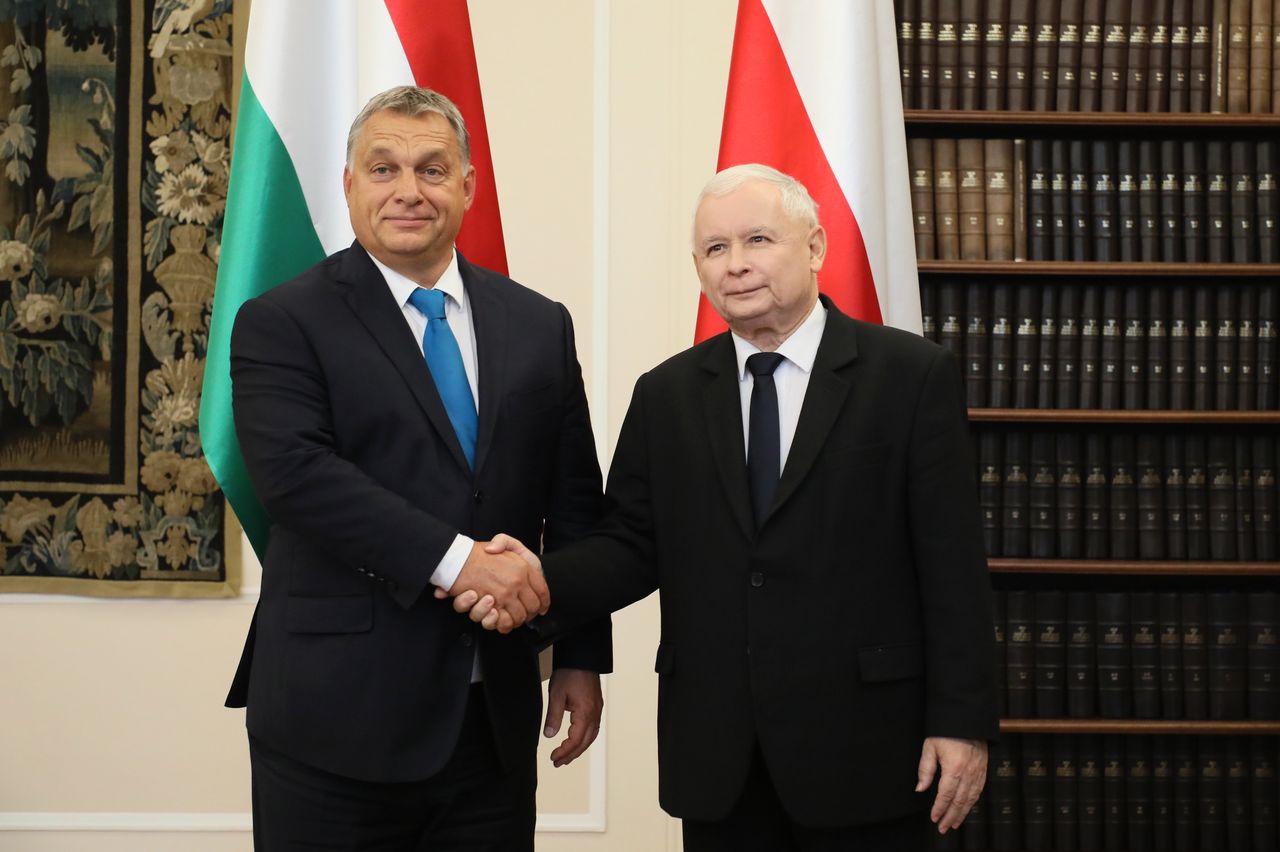PiS sięgnie po "mechanizm Orbana"? "Dawno to zaplanowali"