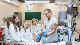 Chcesz popracować w sali operacyjnej? Zapisz się na Dni Nauki Medicalia 2025 w Bydgoszczy