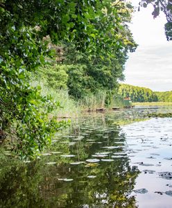 Pogrzeb harcerza, który utonął na obozie. Prośba rodziny 15-latka
