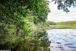 Pogrzeb harcerza, który utonął na obozie. Prośba rodziny 15-latka