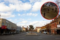 Bitwa w Melbourne. Skinheadzi i Antifa razem przeciw neonazistom