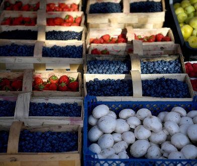 Błąd polskich producentów. "Borówka amerykańska będzie sprowadzana"