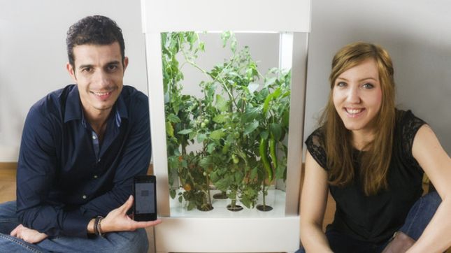 Niwa. Inteligentny ogród kontrolowany za pomocą smartfona 1