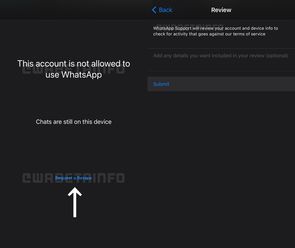 WhatsApp i opcja odwoływania się od blokady konta