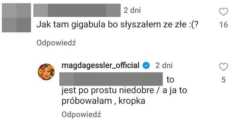 Odpowiedź Magdy Gessler na Instagramie