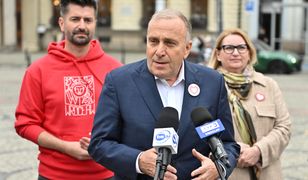 Schetyna ma wątpliwości. Rzecznik rządu: już szukają winnych porażki