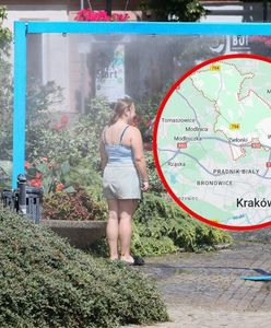 Zielonki w kryzysie. Upały paraliżują sieć wodociągową