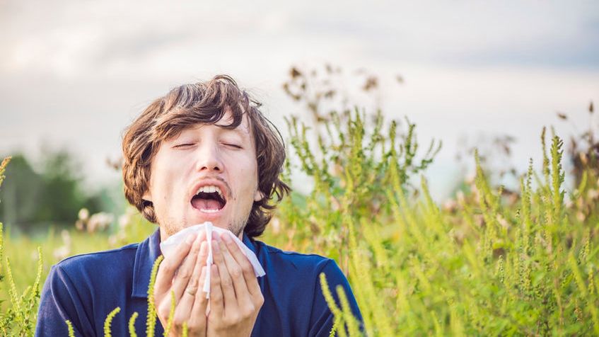 Rupafin jest lekiem przeciwhistaminowym, zażywanym w celu łagodzenia objawów alergicznego zapalenia błony śluzowej nosa oraz alergicznej wysypki skórnej
