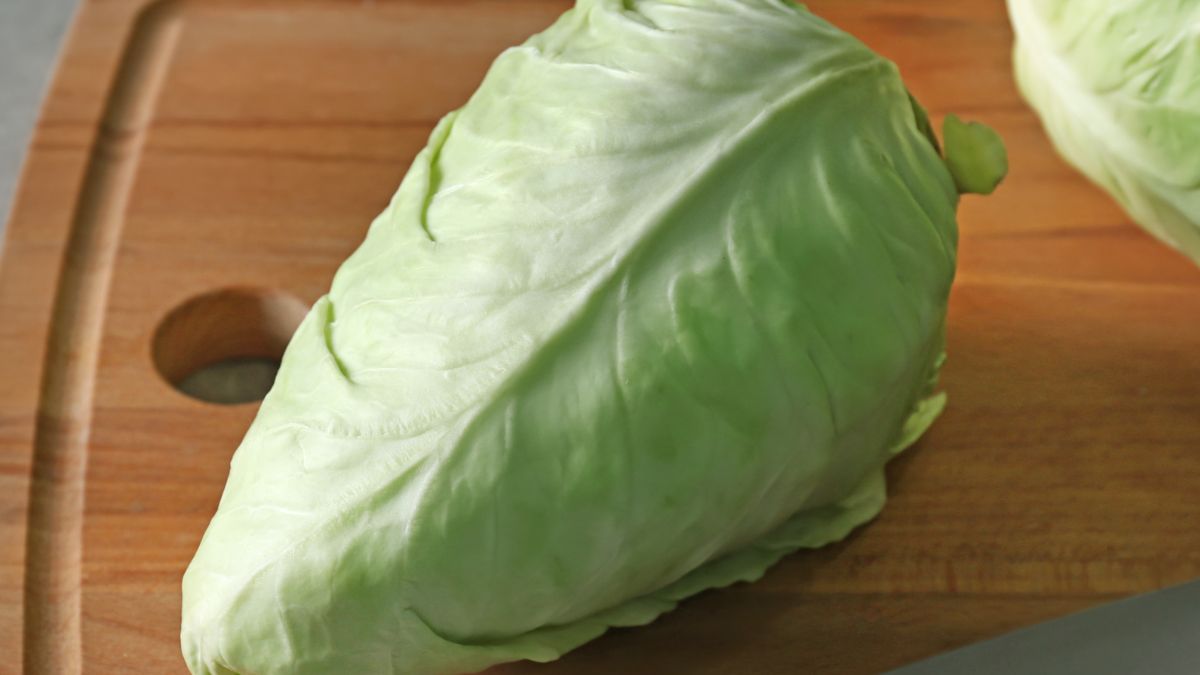 Kapusta stożkowa