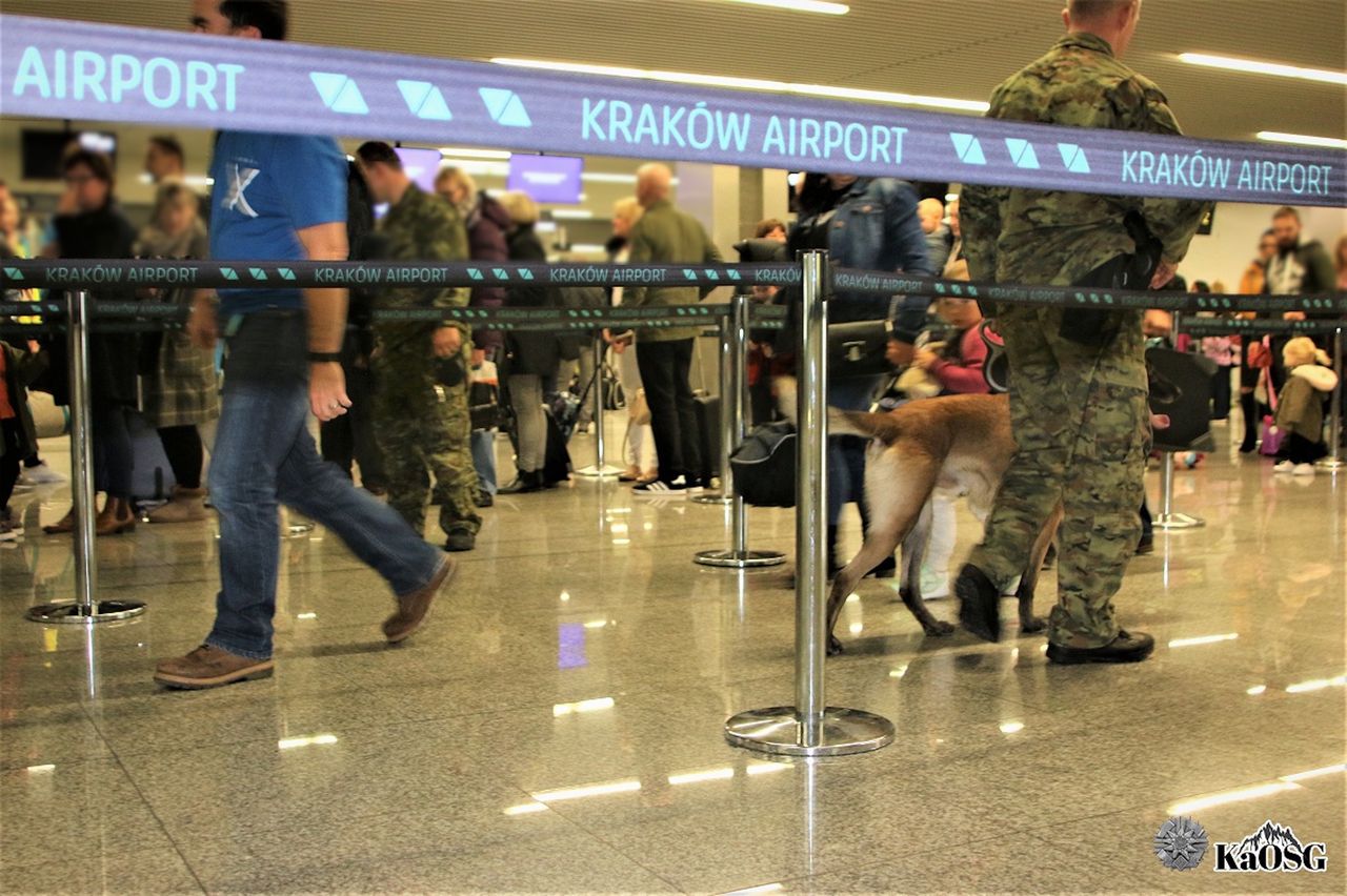 Polak leciał do Grecji, by się zaręczyć.  Powiedział o dwa słowa za dużo