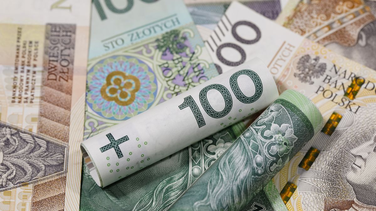 Banknotes of Polish zloty currency, PLN
Polish money. Polish zloty banknotes placed next to each other and are the backdrop to many various financial matters. PLN currency.
MarekUsz
cash, money, pln, zloty, banknote, bill, note, bank, concept, exchange, rate, profit, income, earnings, market, interest, dividends, debit, stock, expenses, idea, cost, accounting, bonus, payment