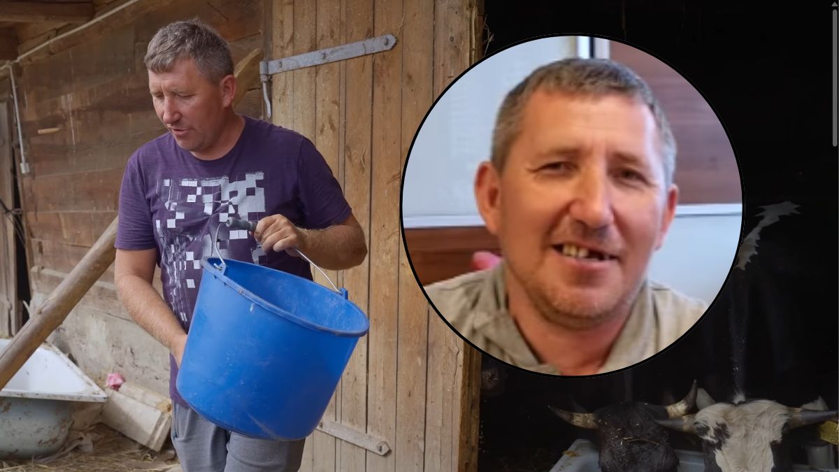 Internauci komentują, jak Andrzej z Plutycz karmi krowy