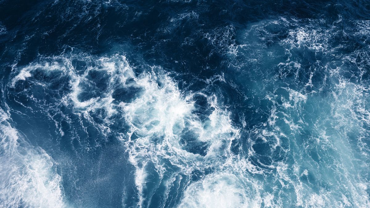 Top view on blue ocean waves.
Top view on blue ocean waves and foam.
Olga Zarytska
classic, blue, color, year, ocean, wave, nature, sea, top, view, surf, water, background, summer, texture, turquoise, aqua, horizontal, marine, natural, pattern, surface, wallpaper, abstract, bright, clean, clear, cool, deep, fresh, light, liquid, pure, ripple, shiny, splash, swimming, transparent, tropical, wet, photography, beauty, travel, spa, tranquil, closeup, idyllic, majestic, tidal bore, 2020