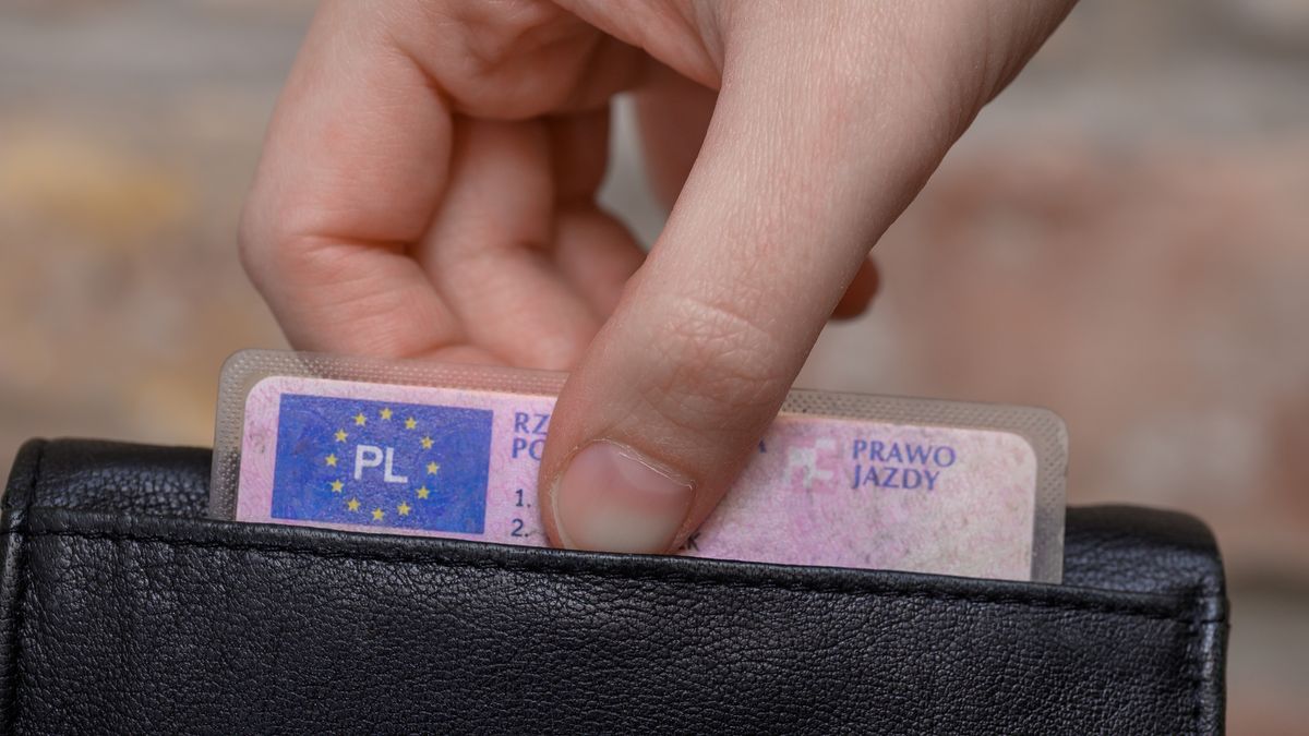 prawo, jazdy, dokument, papierowy, osobisty, karta, prawo jazdy, prawko, uprawnienie, transport, przewóz, swoboda obywatelska, rozwój, pozwolenie, kierowanie, pojazdy, zawodowe, europejskie, europa, plastik, kontrola policyjna, drogówka, mandat, samochód, osobiste, fizyczne, w portfelu, kwalifikacje zawodowe, flaga unii, polskie prawo jazdy, ważne, okresowe, skórzany portfel, galanteria