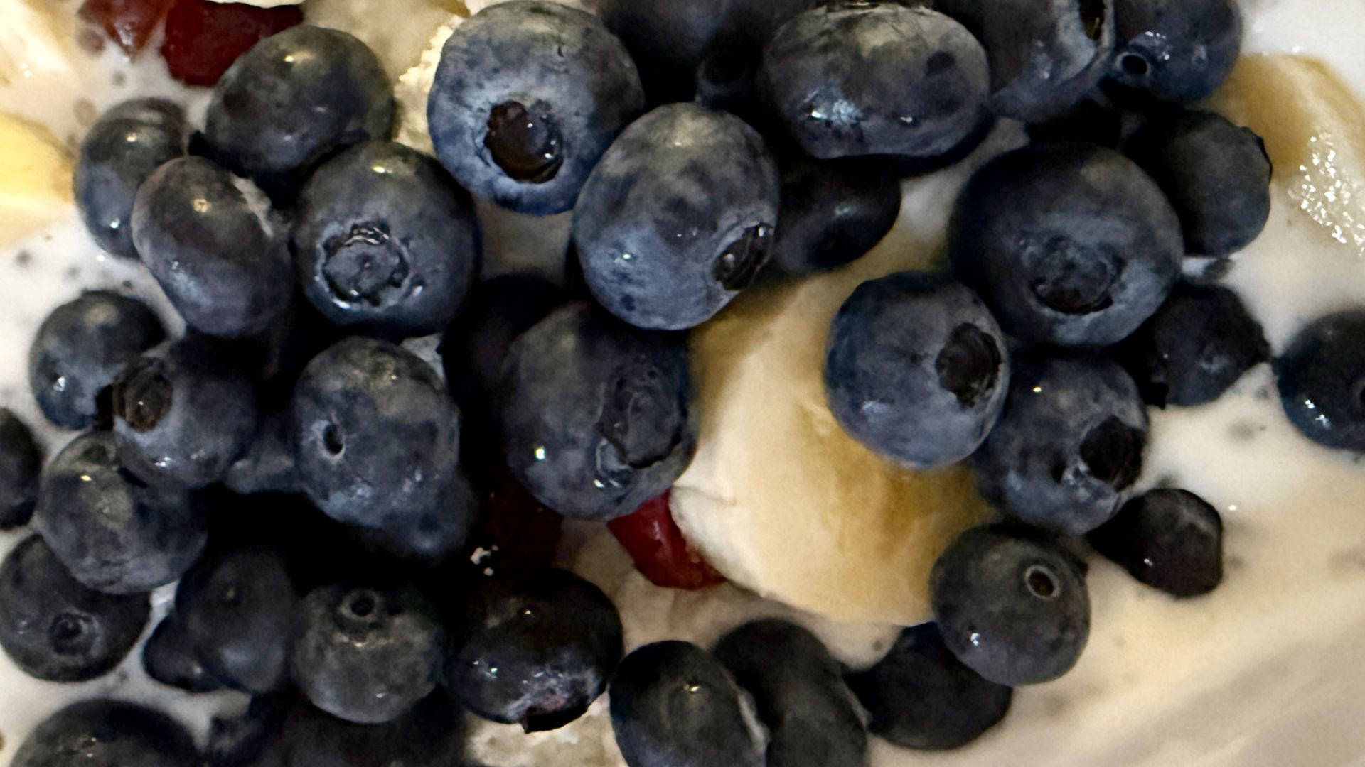 Borówki wspierają mózg, serce, jelita i poziom cukru jednocześnie.
