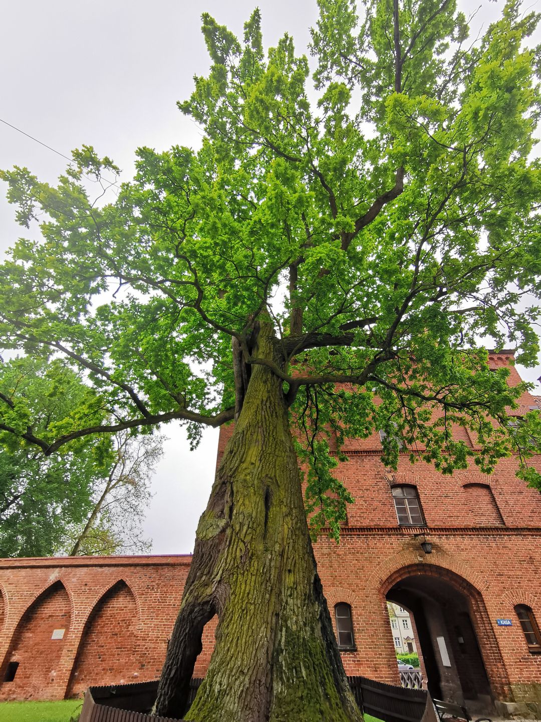 Frombork pełen jest miejsc związanych z Mikołajem Kopernikiem