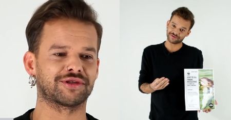 Pirog do Wojewódzkiego: "PRZEPRASZAM! Daję ci morświna!"
