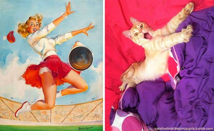 Koty, które pozują jak dziewczyny pin-up z dawnych amerykańskich plakatów 14