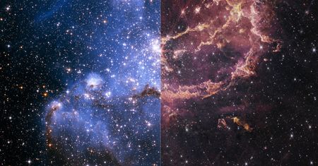Gwiezdny żłobek NGC346 okiem Hubble i Webba. Przy nim Filary Stworzenia wyglądają niepozornie