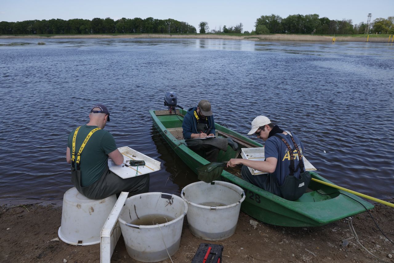 Upały komplikują sytuację na Odrze. Zespół Zarządzania Kryzysowego zaleca pilne działanie