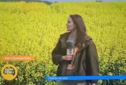 Wpadka w "Dzień Dobry TVN". Prezenterka pomyliła bez z rzepakiem