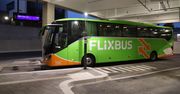 FlixBus zderzył się ze zwierzęciem. Szokująca reakcja kierowcy