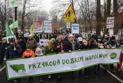 Protestowali w obronie przyrody. "Nie dla niszczenia środowiska!"