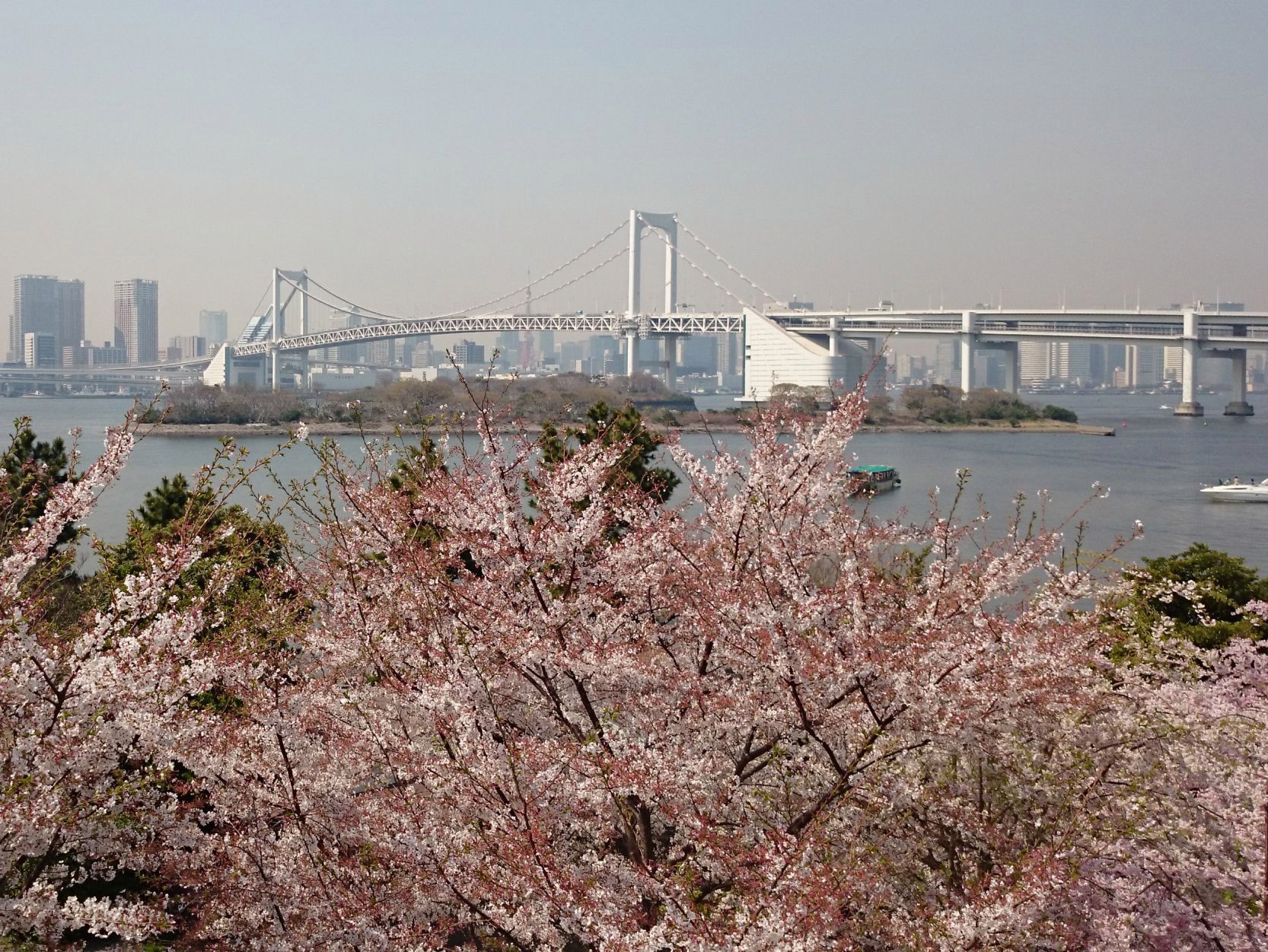 Xperia Z1 Compact vs stare sony ericssony - zaskakujące wyniki fotoporównania 19