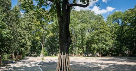 Nowa odsłona miejskiego parku. Wielka rewolucja za 12,5 mln zł