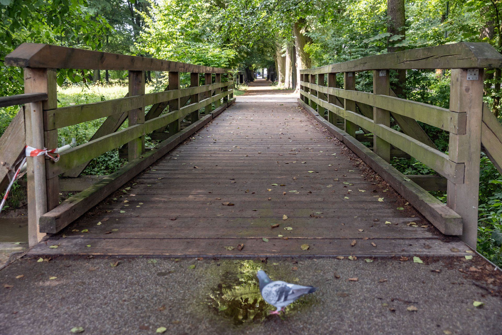 Park im. Tadeusza Kościuszki przy Dworku Białoprądnickim w Krakowie.