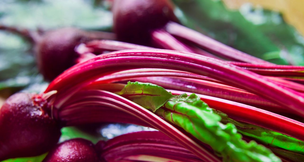 Beet greens for winter