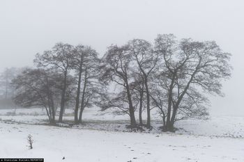 84-letnia pensjonariuszka nie żyje. Prokuratura bada sytuację w DPS