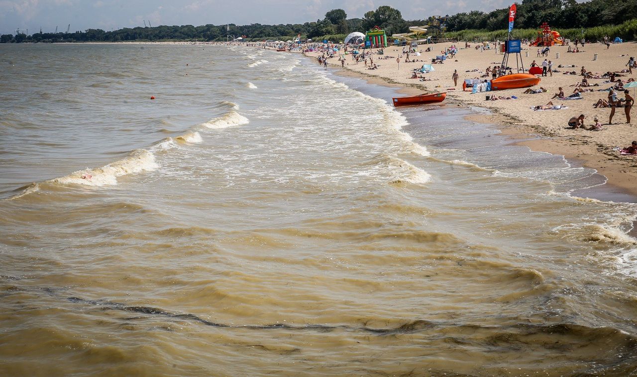 Uwaga na sinice na Pomorzu! Lista kąpielisk z zakazem kąpieli nad morzem i na Kaszubach - długi weekend może skończyć się bólem brzucha