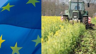 Komisja Europejska upraszcza politykę rolną. Mniej kontroli, więcej wsparcia