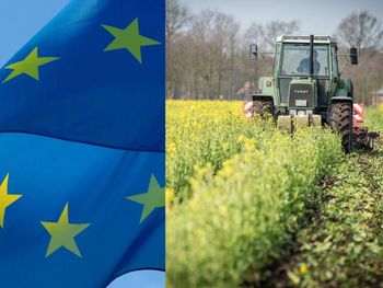 Komisja Europejska upraszcza politykę rolną. Mniej kontroli, więcej wsparcia