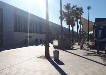 Samolot musiał zawrócić. Wszystko przez awanturę na pokładzie