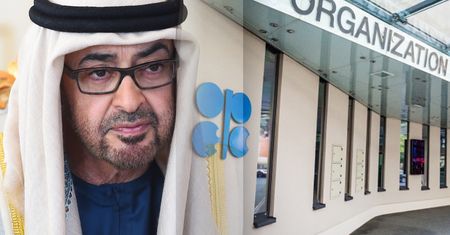 ZEA wychodzą z OPEC. Zachwiało się naftowe domino